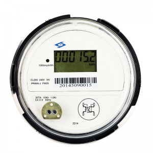 Single Phase ANSI Meter LY-ANSI11