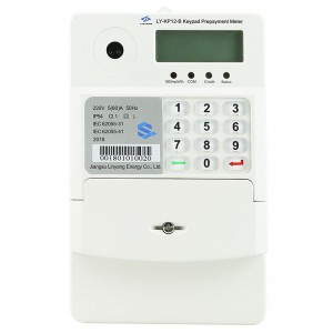 BS Keypad Single Phase Prepaid Meter LY-KP12B